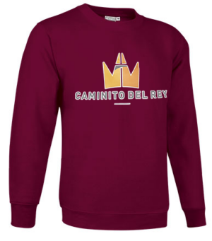 Sudaderas / Niños - Imagen 3
